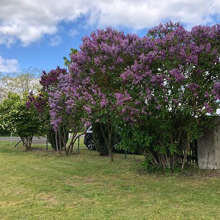 Ferienhaus Biene Wartin Bagian luar foto