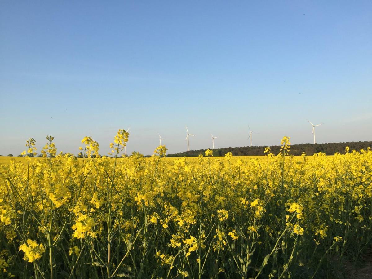Ferienhaus Biene Wartin Bagian luar foto