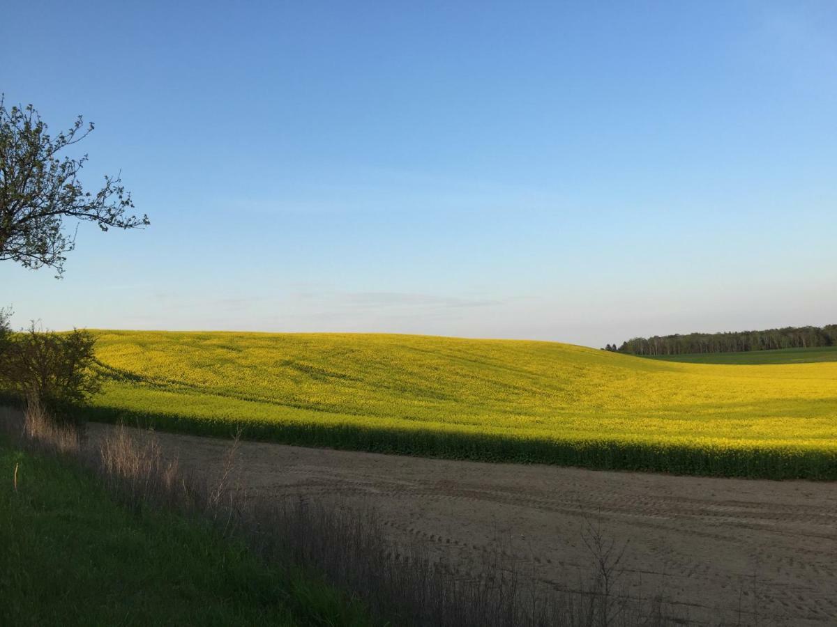 Ferienhaus Biene Wartin Bagian luar foto