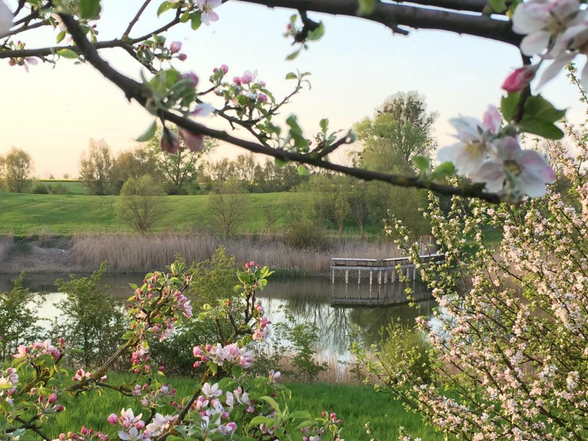 Ferienhaus Biene Wartin Bagian luar foto