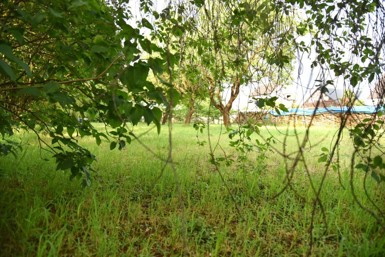 Ferienhaus Biene Wartin Bagian luar foto